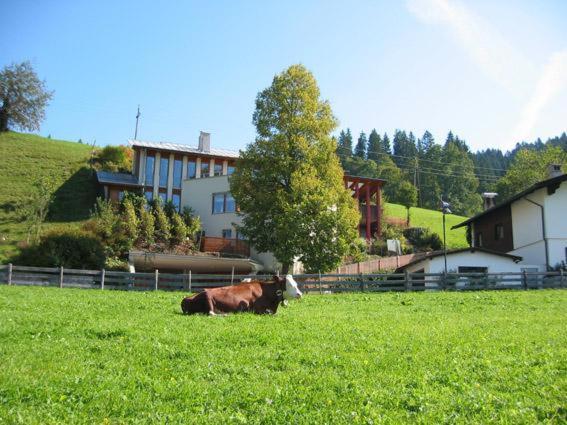 Studio 21A Hopfgarten im Brixental Exteriör bild